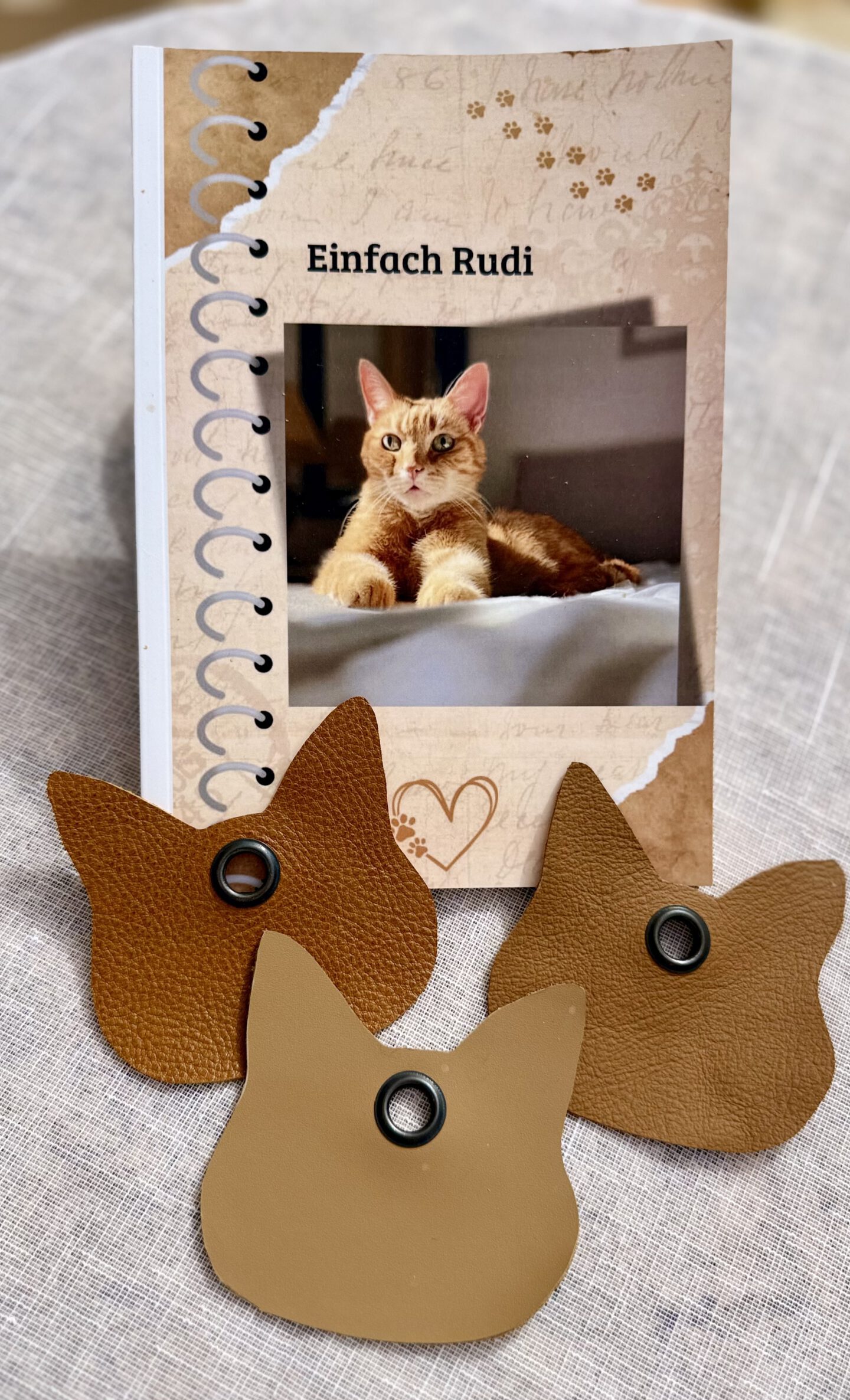 Rudi – der rote Kater