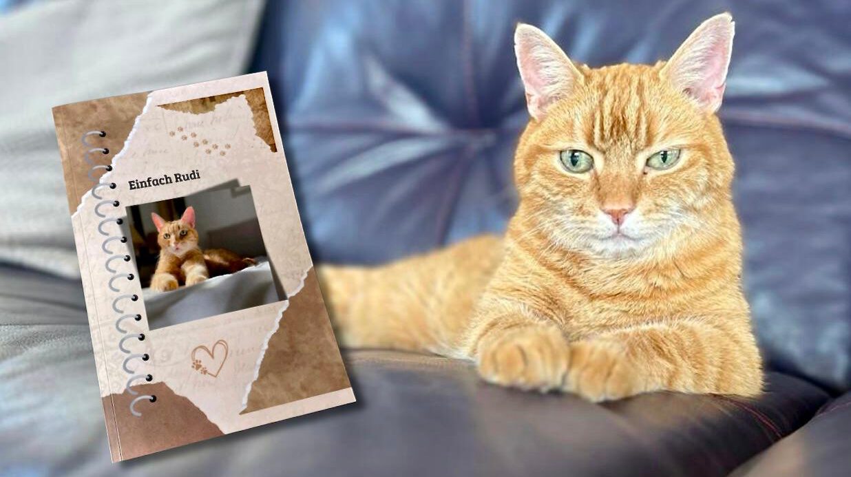 Kater Rudi und sein E-Book