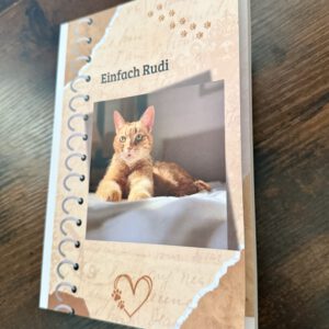 Buch Einfach Rudi mit Kater-Anhänger als gratis Geschenk